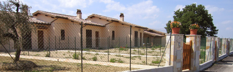 Nova Carsulae